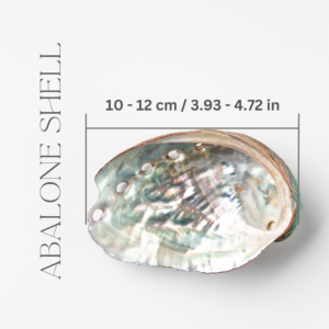 Abalone Shells Measurement