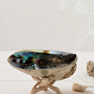 Abalone Shells on a white wooden stand