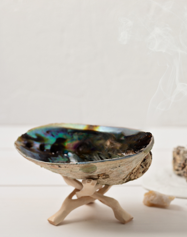 Abalone Shells on a white wooden stand