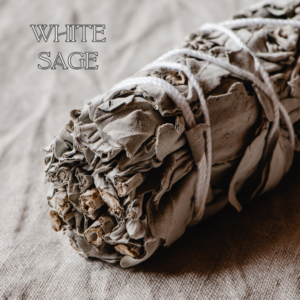 White Sage Incense Bunch close up front