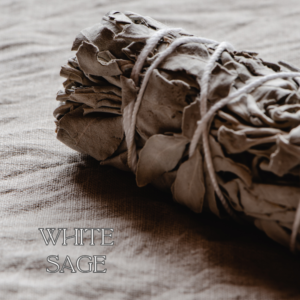 White Sage Incense Bunch close up left