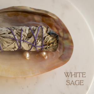 White Sage Incense Bunch from above on a shell