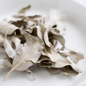 White sage leaves close up of dried leaves