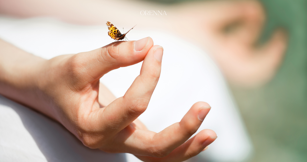 Meditation a butterfly standing on the hand