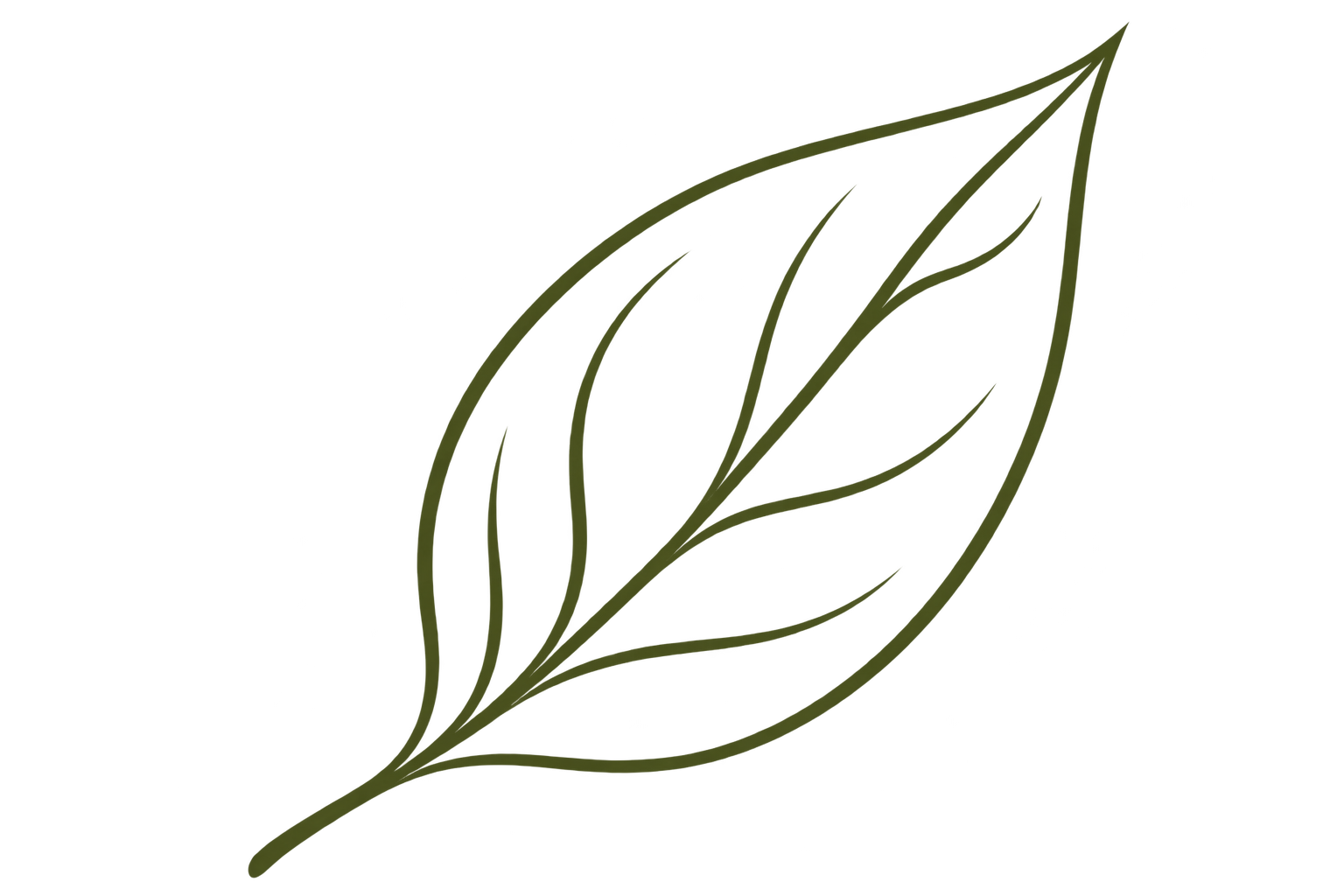 Leaf icon representing personalised and inclusive yoga at Orenna Wellness